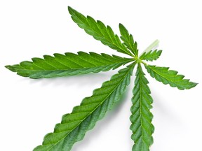 Health Canada protects the addresses of medical pot grow-ops. (FOTOLIA)