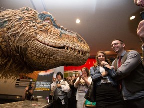 A woman takes photos of a baby T-Rex from the Walking With Dinosaurs: The Arena Spectacular, after the United Way Alberta Capital Region 2014 campaign launch at the Shaw Conference Centre in Edmonton on Wednesday. The charitable organization is focusing on an Impact Scorecard this year, which seeks to measure the social impact of the United Way’s work in the community. Walking With Dinosaurs is on at Rexall Place from Sept. 24-28, and Northlands is donating $2 from each ticket to the United Way. ( Ian Kucerak/Edmonton Sun)