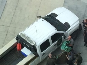 This photo shows conservation officers moving a cougar that was shot near a hospital in Calgary. ( Russel k/@CoolieHiker/Submitted)