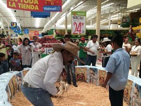 Walmart de Mexico SAB is being investigated after local shoppers complained a store in Boca del Rio held a cockfight to promote a soda company.
(Photo courtesy of Diego Cobo)