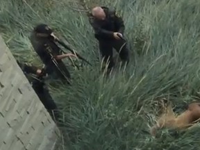 Officers surround a cougar that took up residence outside the South Health Campus in Calgary on Thursday, Sept. 18, 2014. The animal was shot dead. (Video posted to YouTube by Olivier Graham)