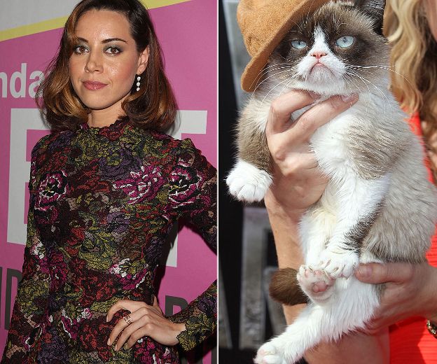 Aubrey Plaza to voice Grumpy Cat in Lifetime's 'Worst Christmas Ever