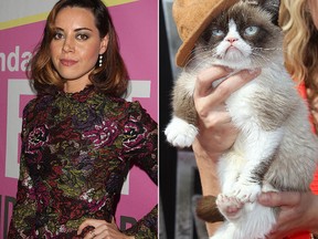 Aubrey Plaza and Grump Cat (WENN.COM)