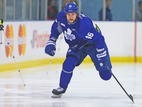 Leafs defenceman Roman Polak. (Toronto Sun files)