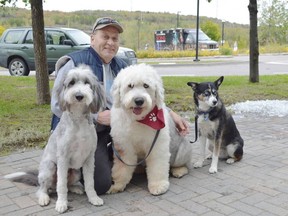 Jim Moodie/The Sudbury Star
Bob Savoie poses with his dogs Harley the bearded collie, Fritz the English sheepdog and Tao the Australian cattle dog during the SPCA Friends for Life! Walk on Sunday at College Boreal. Savoie is a member of the pet therapy group, bringing his furry friends to hospitals and nursing homes to brighten the lives of patients and residents.