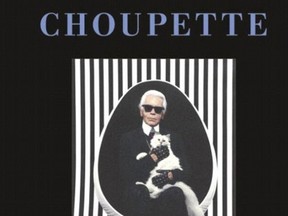 Book cover of Choupette - the Enchanted Life of a Fashion Cat. (Thames & Hudson photo)