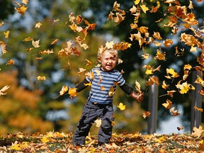 Two-year-old Carter O'Donoghue plays with leaves with his mother Jen Bernard during sunny 22C weather in this photo taken Friday, Sept. 27, 2013 at Nicholls Oval in Peterborough. (Clifford Skarstedt/QMI AGENCY)