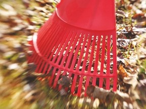 As the cold weather starts to creep in, now is the time to prepare your yard for winte
