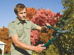 Resist the urge to prune in the fall, before deciduous plants have gone dormant.
