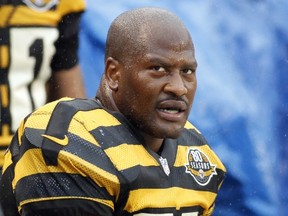 James Harrison #92 of the Pittsburgh Steelers looks on from the sideline against the Washington Redskins during the game on October 28, 2012 at Heinz Field in Pittsburgh, Pennsylvania. (Justin K. Aller/Getty Images/AFP)