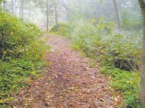 The natural beauty and well-maintained trails at Pond Mills offer a spiritual retreat for both young and old, according to columnist Goldwin Emerson. (Sandra Coulson/London Free Press)