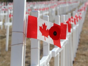 A poppy adorns a Canadian flag upon a sea of crosses set up on Memorial Drive in northwest Calgary, AB, November 9, 2011. JIM WELLS/ QMI AGENCY