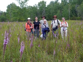 Carolinian Canada staff and Elgin Natural Heritage Inventory volunteers in a field of Dense Blazing Star, a threatened species. (Wasyl Bakowsky/Contributed)