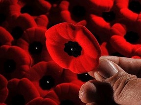 Poppies are pictured in this photo illustration. (MARK WANZEL/QMI Agency Files)