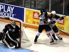 Kevin Spinozzi of the Sarnia Sting tangles with the Barrie Colts’ Brendan Lemieux Friday as goaltender Justin Fazio looks on. The Colts won 4-2. Trevor Terfloth/QMI Agency