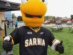 Sarnia Sting mascot Buzz is shown during Friday's tailgate party to mark the team's 20th anniversary. Trevor Terfloth/QMI Agency