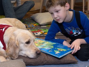 AFP PHOTO 
Reading Tails is a program designed to improve reading skills for children ages 6 through 12, who already know how to read. Each child gets a chance to read to a certified Magical Paws Therapy Dog for 30 minutes, once a week for a period of six weeks. Dogs are great listeners and that can make all the difference in the world to a shy or slow reader.