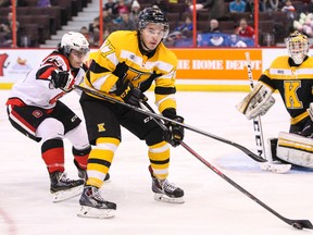 Warren Steele, a veteran of more than 200 OHL games with the Kingston Frontenacs, will play for the Queen's Golden Gaels this season. (QMI Agency)