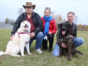 Gino Donato/The Sudbury Star
Vic and Dorice Dusty with their dog Snow, and Kelly Shirran with her dog Cuzemoe, at the Azilda Dog Park on Monday evening.