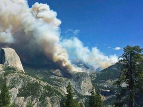 The Meadow Fire burns in Yosemite National Park, California in this handout photo released to Reuters September 8, 2014.  REUTERS/Jeffrey Trust/National Park Service/Handout