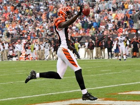 Cincinnati Bengals' A.J. Green coasts into the end zone for a touchdown in the fourth quarter of their NFL football game. (REUTERS/Aaron Josefczyk)