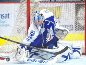 Sudbury Wolves goalie Franky Palazzese stops a shot in this 2013 file photo. Palazzese has signed a pro contract with the Hamilton Bulldogs.