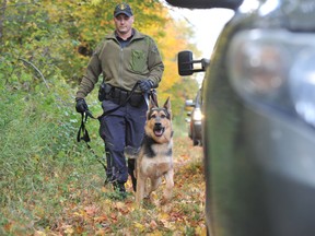 Police have been here since dawn, combing 100 acres of woods north of Barrie, trying to solve the disappearance of Nicole Morin almost 30 years ago. (MARK WANZEL/QMI AGENCY)