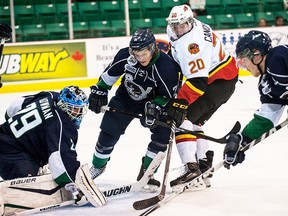 Belleville Bulls rookie defenceman Cole Candella storms the Plymouth Whalers net during OHL action Wednesday night at Yardmen Arena. (Don Carr for The Intelligencer)