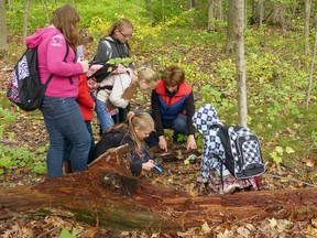 Jane Welsh, a volunteer at the Carolinian Forest Festival, teaches students about the importance of fallen logs in a forest at the 'Down but Not Out' activity. 
Contributed