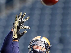 Winnipeg Blue Bombers wide receiver Nick Moore hauls in a pass during CFL football practice in Winnipeg, Man. Thursday October 09, 2014.