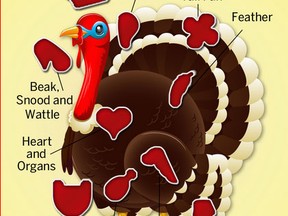 turkey operation graphic