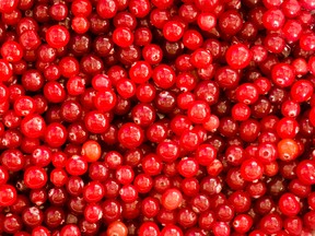 Cranberries