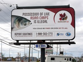 A billboard on John Counter Boulevard just west of Division Street in Kingston.