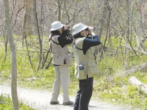 Birders and non-birders alike may joke about the bird watcher?s ?official uniform?, a Tilley-style hat worn with many-pocketed khaki-coloured clothing elements. A binocular harness makes sense for bird watchers who are out for hours at a time. (PAUL NICHOLSON, Special to QMI Agency)