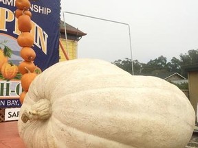 The record-breaking pumpkin weighed in at 2058 lbs. (Miramar Events/Facebook)