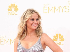 Amy Poehler (WENN.COM)