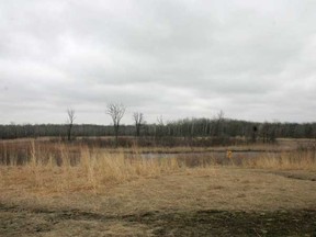 The Eva Werier Waterfowl Pond.