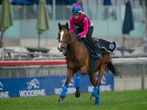 Pattison Canadian International entrant Hillstar (Michael Burns, photo)