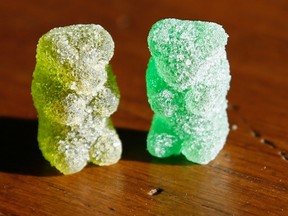 A marijuana-infused sour gummy bear candy (L) is shown next to a regular one at right in a photo illustration in Golden, Colorado October 17, 2014. 
REUTERS/Rick Wilking