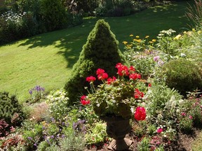 Sunlight is the most important factor in planning your garden. (File photo)