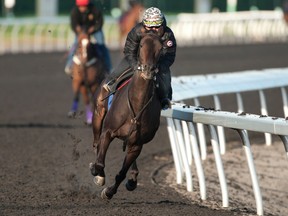 Woodbine trainer Pat Parente is hoping for a big day for Reporting Star at the Pattison International on Sunday. (MICHAEL BURNS/PHOTO)