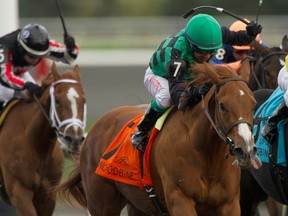 Jockey Huber Villa-Gomez guides Cactus Kris to victory in the $100,000 Ruling Angel Stakes at Woodbine on Saturday. Cactus Kris is owned by Anne Walsh and trained by Ryan Walsh. (MICHAEL BURNS/PHOTO)