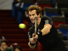 Andy Murray clinched the Vienna Open title on Sunday. (AFP)