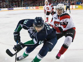 Ottawa 67 Nevin Guy pursues Nicholas Caamano of the Plymouth Whalers during OHL hockey action at the TD Place Arena on Sunday October 19, 2014. Errol McGihon/Ottawa Sun/QMI Agency