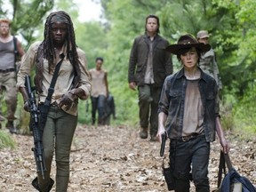 The Walking Dead Strangers