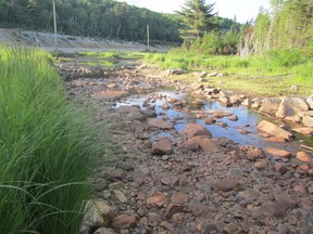 Supplied photo   
Windy Creek, with Highway 144 visible in the background, was reduced to a trickle for the second straight summer this year.