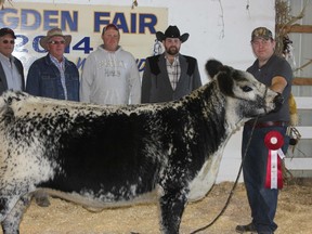 Dave McKillop of Fleetwood Farms, Iona Station took both the Junior Heifer class and Grand Champion female at the Brigden Fair's Speckle Park cattle show. From left are show organizers Dugal Smith, Dennis Robinson, Andy Haywood, show judge Matt Brand and Dave McKillop.