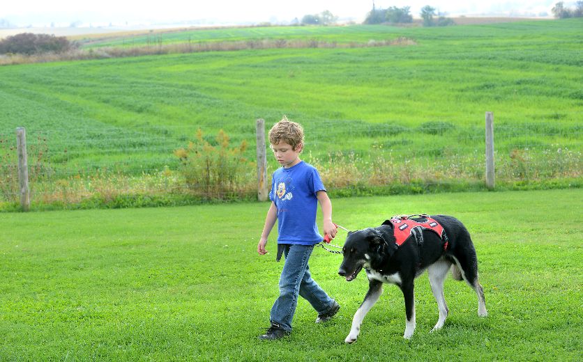 couple-installs-free-invisible-fence-for-families-with-a-service-dog