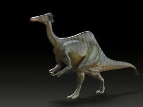 Deinocheirus mirificus, the largest known member of a group of bird-like dinosaurs, is shown in this reconstruction image released on Oct. 21, 2014. REUTERS/Yuong-Nam Lee/Korea Institute of Geoscience and Mineral Resources/Handout