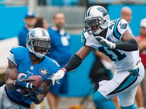 Detroit Lions wide receiver Calvin Johnson (81) tries to catch a pass in the endzone while Carolina Panthers strong safety Roman Harper (41) defends at Bank of America Stadium. (Jeremy Brevard-USA TODAY Sports)